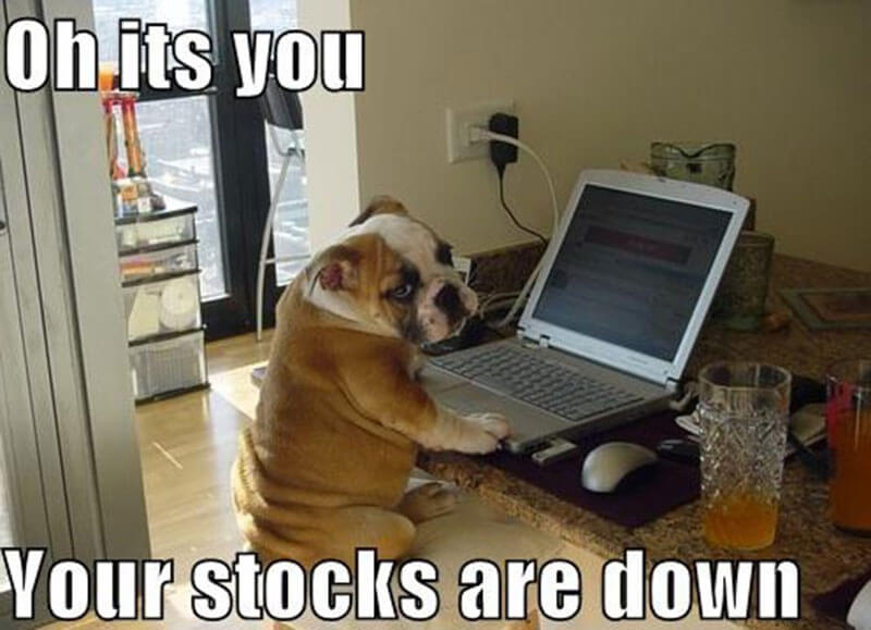 stock-market-humor-jokes-memes-8