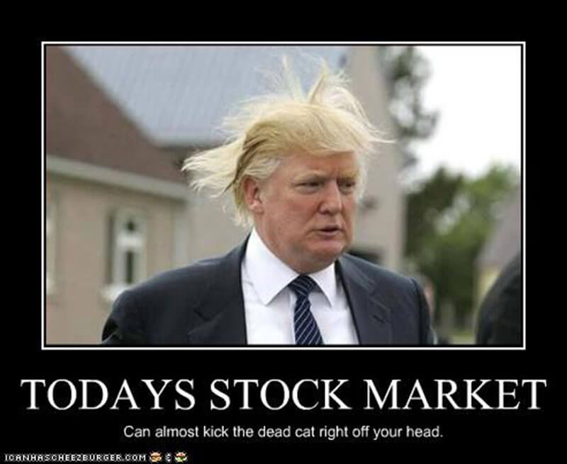 stock-market-humor-jokes-memes-14